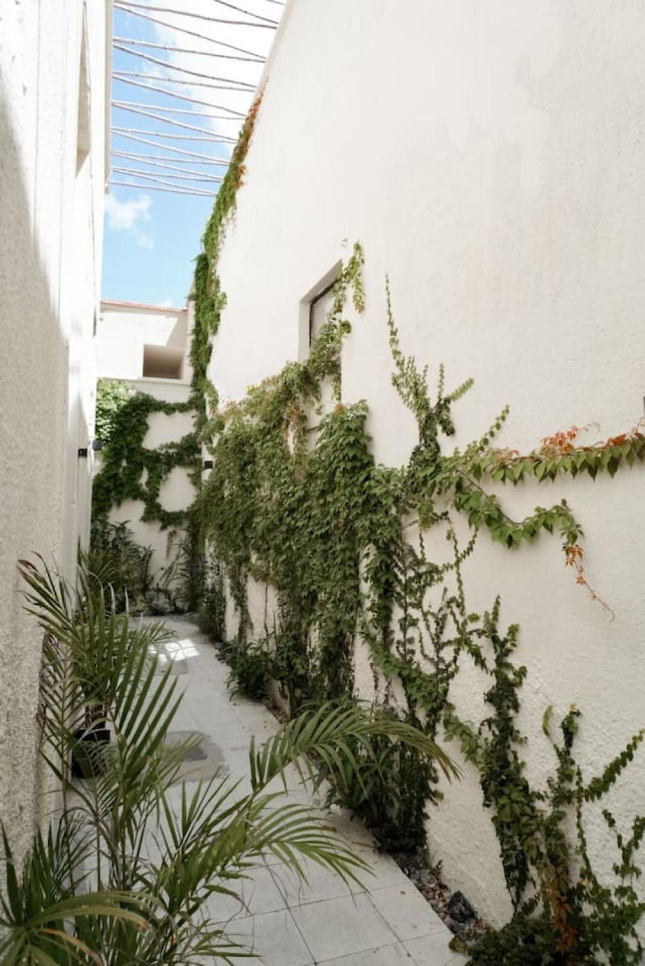 グアダラハラ Casona Enfrente Del Santuario 6ヴィラ エクステリア 写真